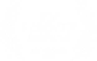 Best E-commerce Campaign